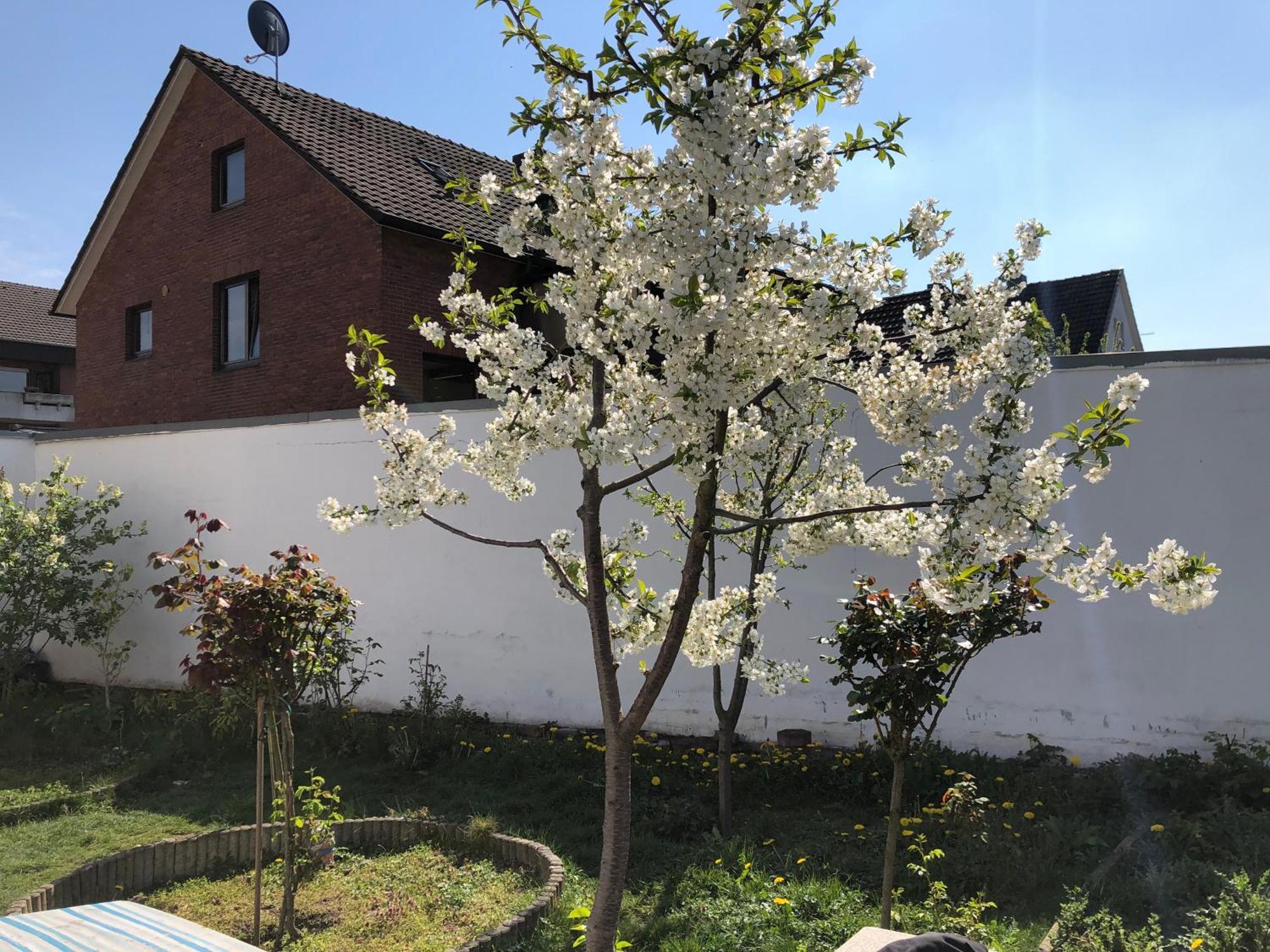 Kleve-Kellen Apartment Kleve  Bagian luar foto